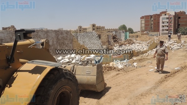 المواطن