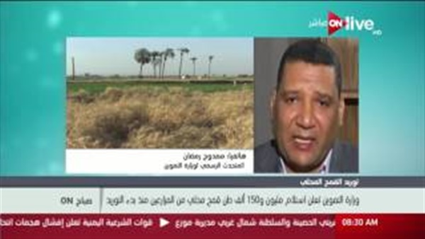 المواطن