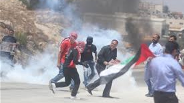 المواطن