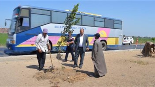 المواطن