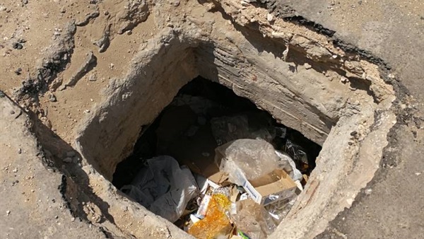 المواطن