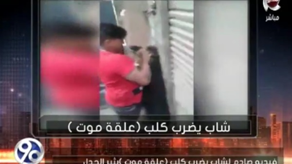 المواطن