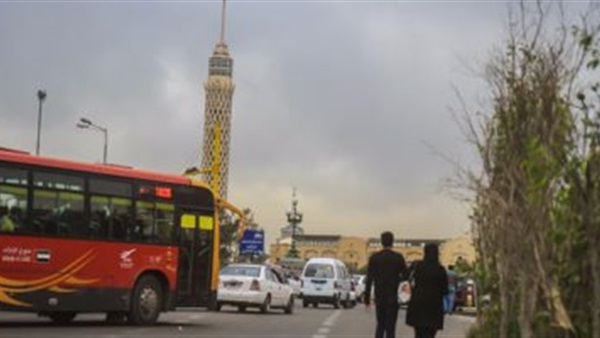 المواطن