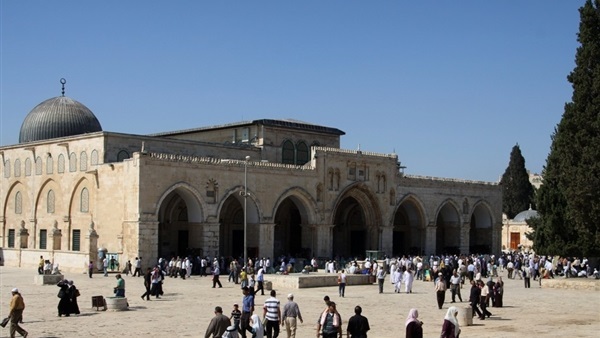 المواطن