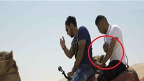 المواطن