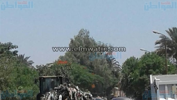 المواطن