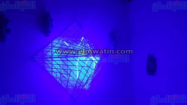 المواطن