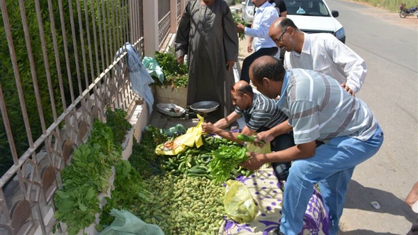 المواطن