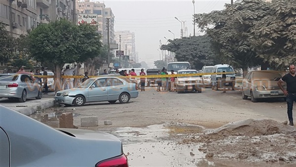 المواطن