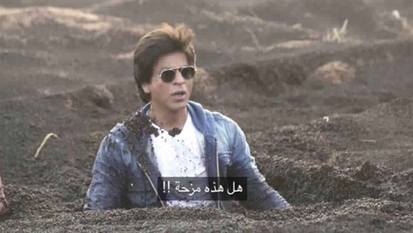 المواطن