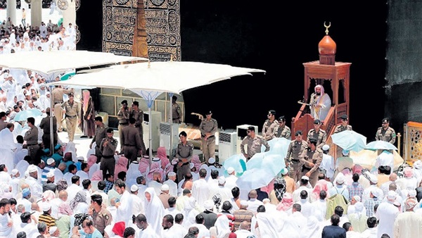 المواطن