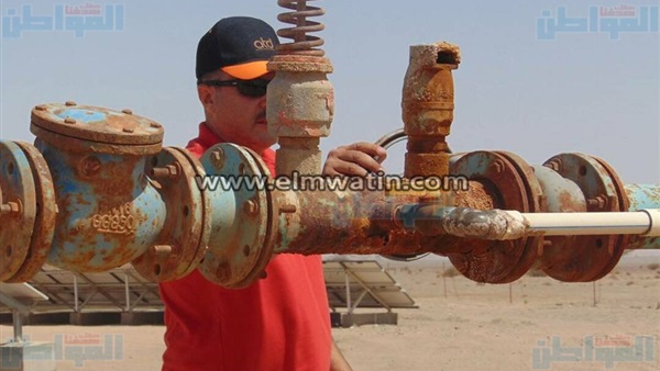 المواطن