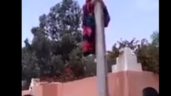 المواطن