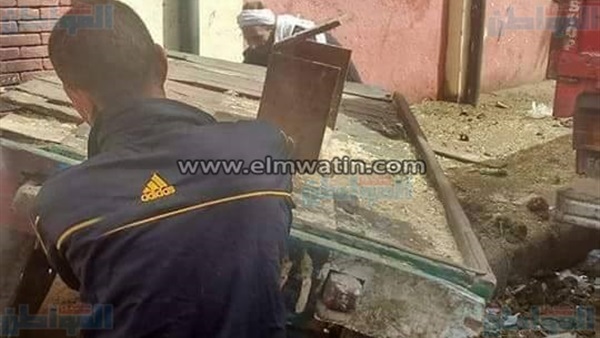 المواطن