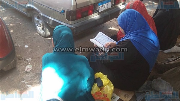 المواطن