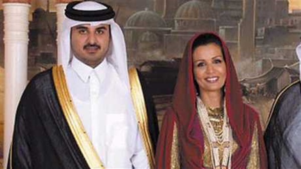 المواطن