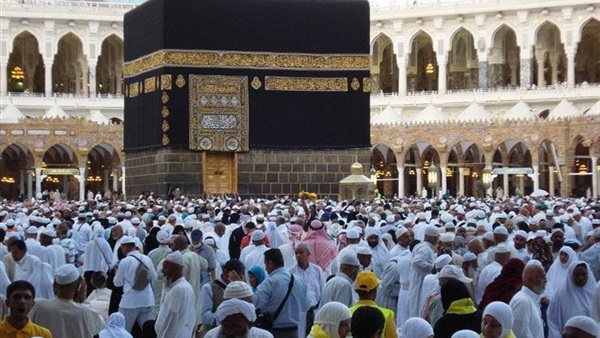 المواطن