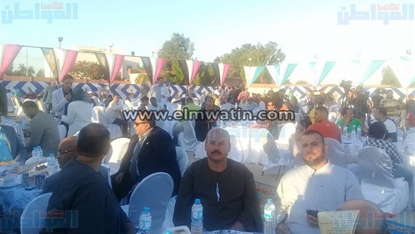 المجلس العربي للقبائل