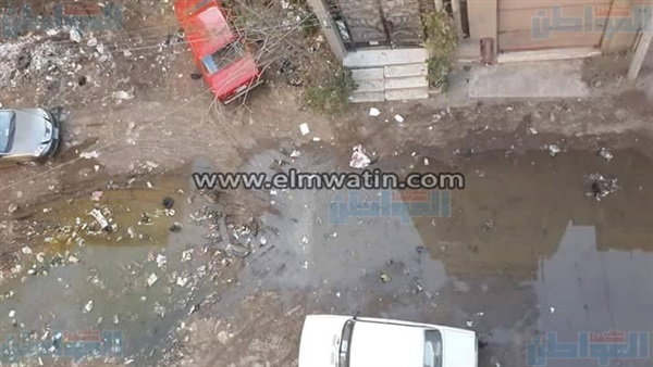 المواطن