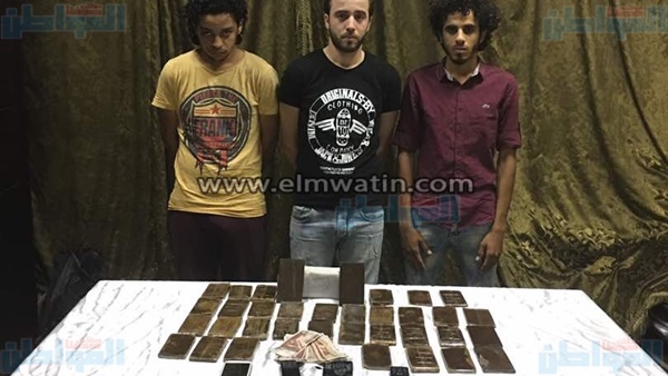 المواطن