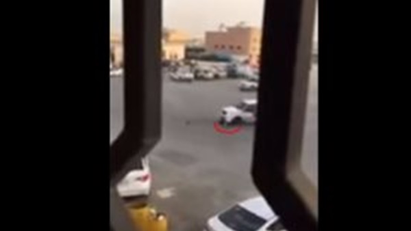 المواطن