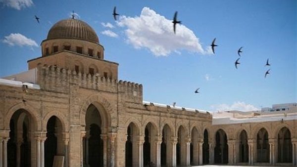 المواطن