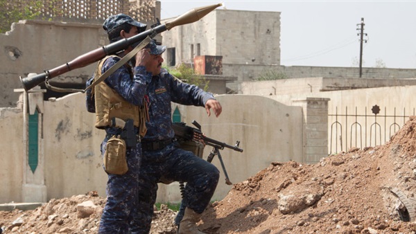 المواطن
