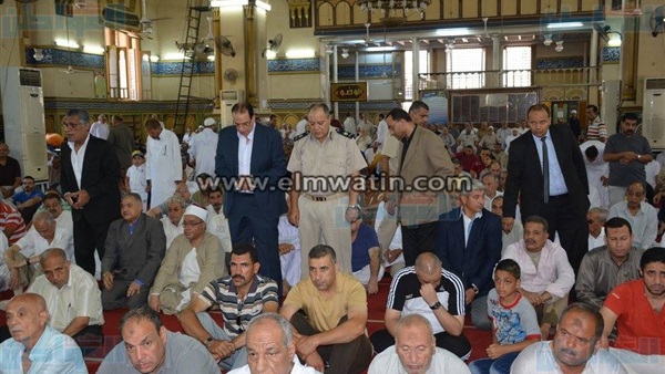 المواطن