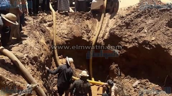 المواطن