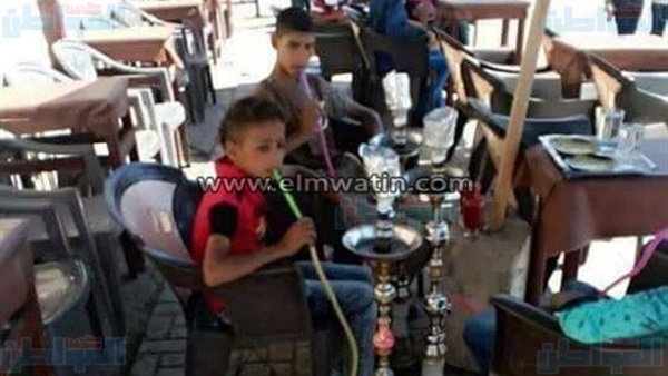 المواطن