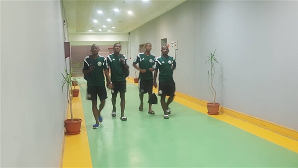 المواطن