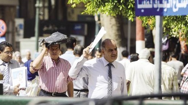 المواطن