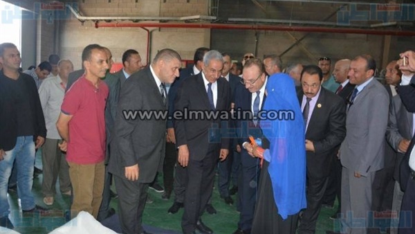 المواطن