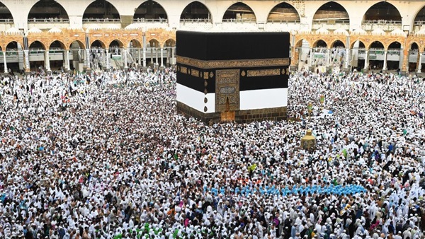 المواطن