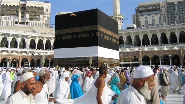 المواطن