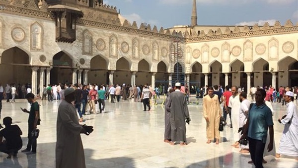 المواطن