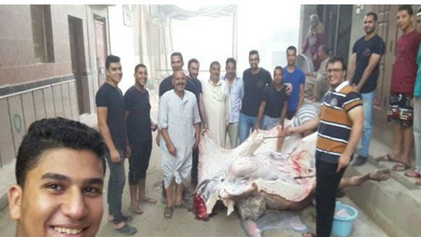 المواطن