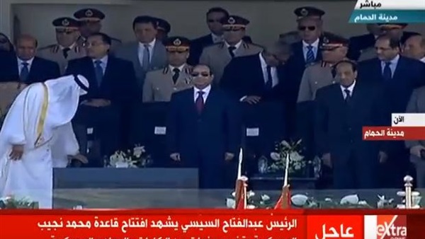 المواطن