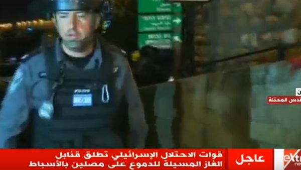 المواطن