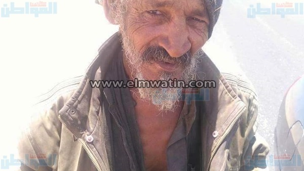 المواطن