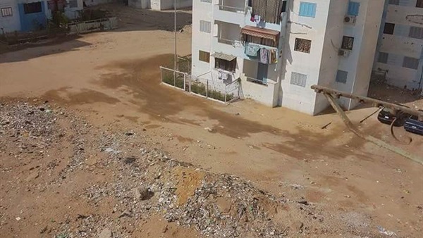 المواطن