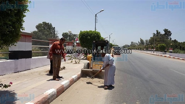 المواطن