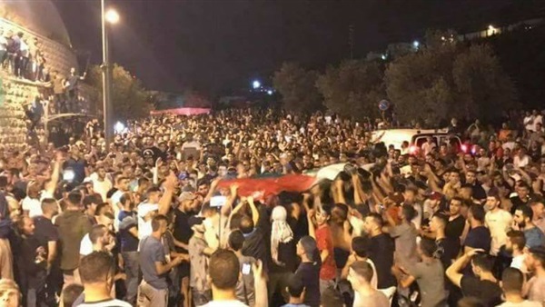 المواطن