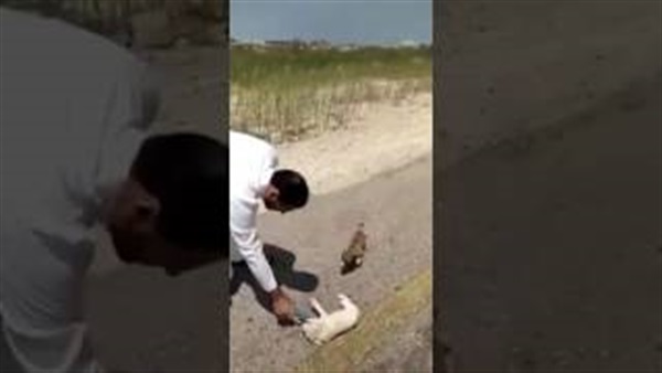 صورة من الفيديو