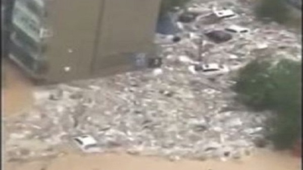 المواطن