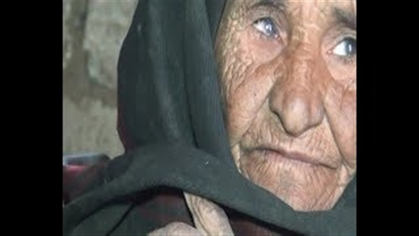 عزبة محمد إبراهيم