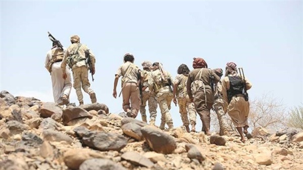 المواطن