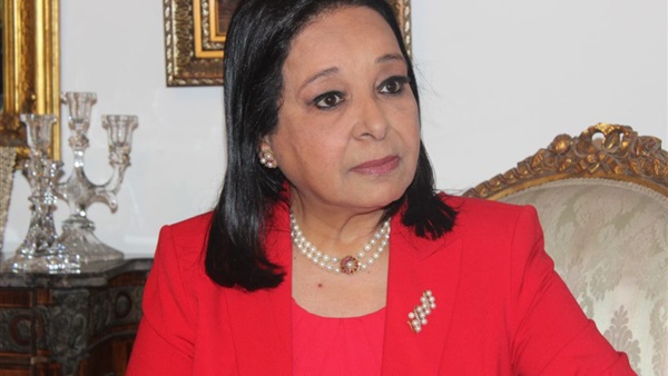 النائبة أنيسة حسونة