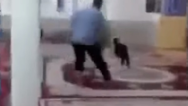المواطن