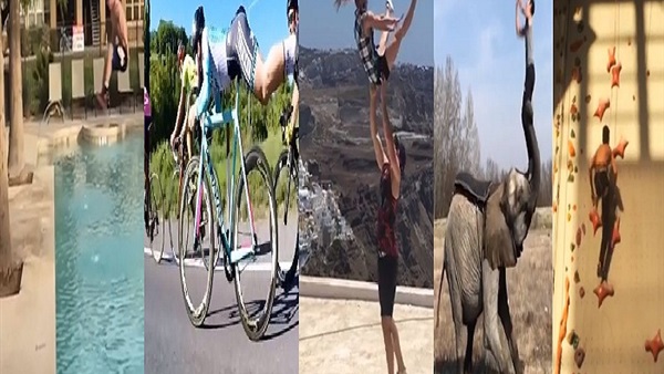 المواطن